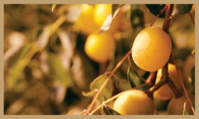 428211_381907911820296_1331214854_n