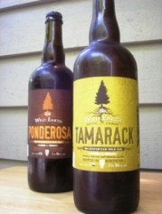 ??????????????????????