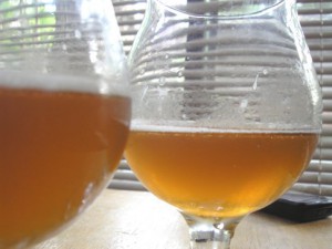 The amazing Hop Tropic