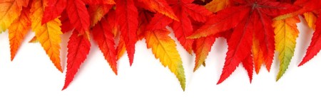 autumn-leaf-frame-11286977540bm6b