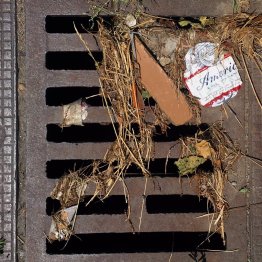 BeauRosehankrecordings