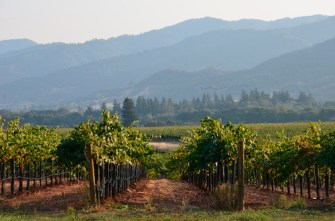 ParducciEstateFacingSouth