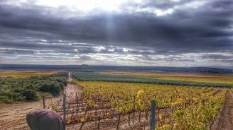 14993497_1295009773897767_2819738839136609595_n