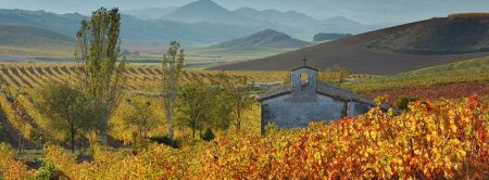 35923051_1118925788248548_1662109312274661376_n