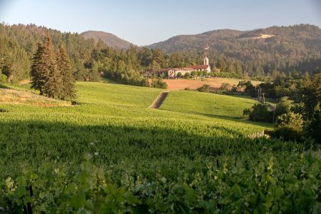 37861601_10156485937643428_7155420995514269696_o