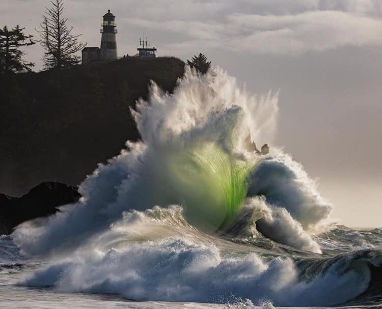 60044406_2235281156563109_5501565579590369280_n